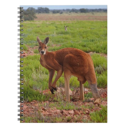 Australische rode kangaroo-laptop notitieboek (Voorkant)