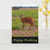 Australische rode kangoeroe blanco verjaardagskaar kaart (Gele Bloem)
