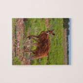 Australische rode kangoeroe puzzel (Horizontaal)