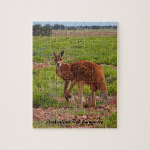 Australische rode kangoeroe puzzel