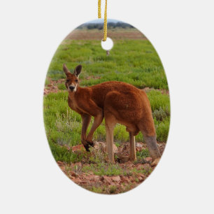 Australische rode kangoornament keramisch ornament
