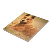 Australische rode kattenhond tegeltje (Zijkant)