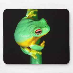 Australische Rode Oog Boomkikker, Litoria chloris, Muismat
