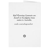 Australische roodbloeiende waterverf (Achterkant)