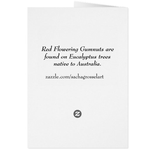 Australische roodbloeiende waterverf (Achterkant)