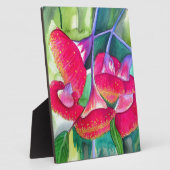 Australische roodbloeiende waterverf fotoplaat (Zijkant)