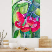 Australische roodbloeiende waterverf poster (Keuken)