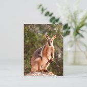 Australische rotswieg briefkaart (Staand voorkant)