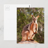 Australische rotswieg briefkaart (Voorkant / Achterkant)