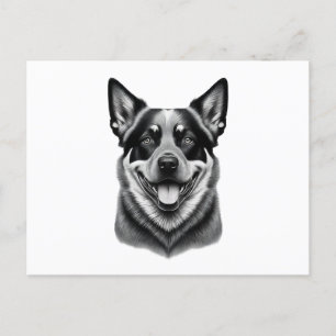Australische runderen hond briefkaarten, Charming  Briefkaart