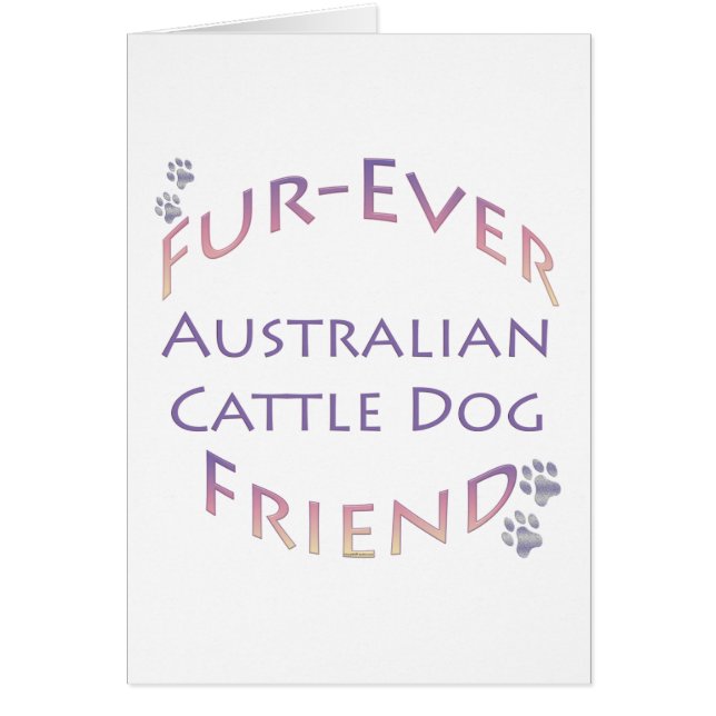 Australische runderhond Furever (Voorkant)