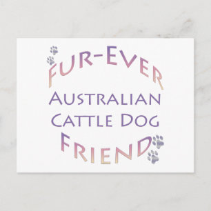Australische runderhond Furever Briefkaart