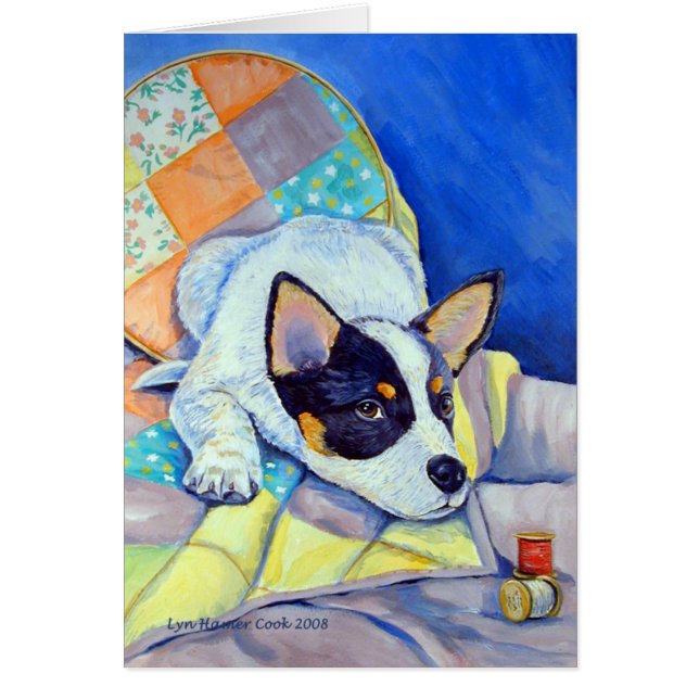 Australische runderhonden (Voorkant)