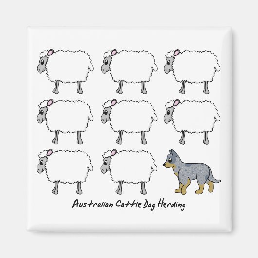 Australische Rundvee Hond Herding Schaap Magnet (Voorkant)