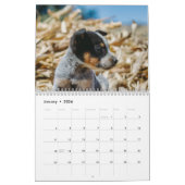 Australische Rundvee Hond Kalender 2026 (Jan 2026)