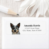 Australische Rundvee Hond Retouradres Labels (Insitu)