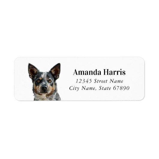 Australische Rundvee Hond Retouradres Labels (Voorkant)