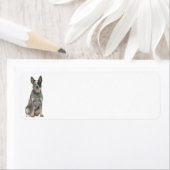 Australische Rundvee Hond Retouradres Labels (Insitu)