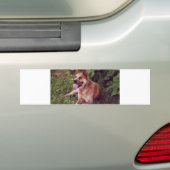 australische rundveestapel rode leg bumpersticker (Op auto)