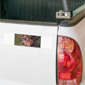 australische rundveestapel rode leg bumpersticker (Op Truck)