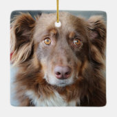 Australische Schelherd Aussie Cog Aangepaste foto Keramisch Ornament (Achterkant)