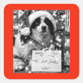 AUSTRALISCHE SHEPARD SQUARE STICKER (Voorkant)