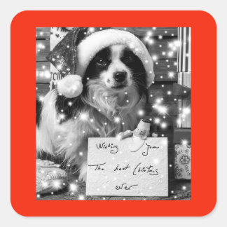 AUSTRALISCHE SHEPARD SQUARE STICKER