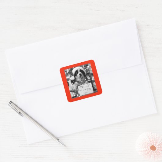 AUSTRALISCHE SHEPARD SQUARE STICKER (Envelop)