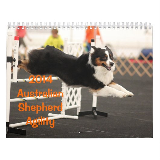 Australische Shepherd Agility Calendar 2014 Kalender (Hoes)