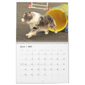 Australische Shepherd Agility Calendar 2014 Kalender (Mar 2027)