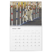 Australische Shepherd Agility Calendar 2014 Kalender (Jan 2027)