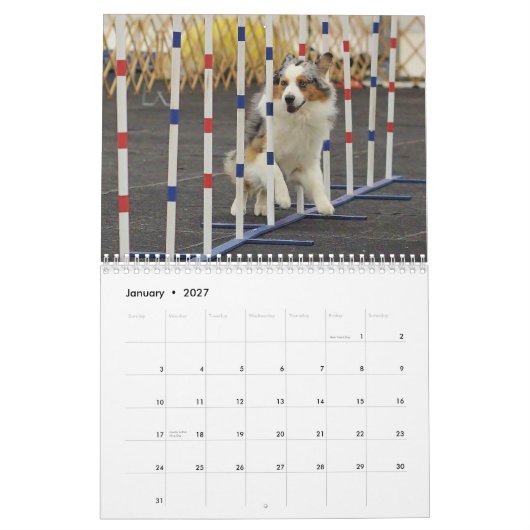 Australische Shepherd Agility Calendar 2014 Kalender (Jan 2027)