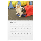 Australische Shepherd Agility Calendar 2014 Kalender (Feb 2027)