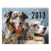 Australische Shepherd Dog-kalender 2013 Kalender (Hoes)
