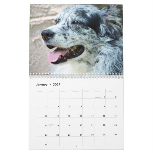 Australische Shepherd Dog-kalender 2013 Kalender (Jan 2027)
