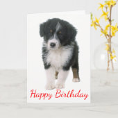 Australische Shepherd Happy Birthday Puppy Dog Kaart (Gele Bloem)
