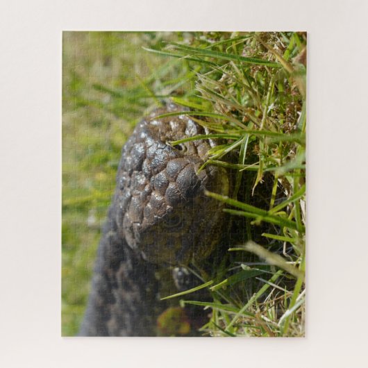 Australische Shingleback Blauwe Tonghagedis, Legpu Legpuzzel (Verticaal)
