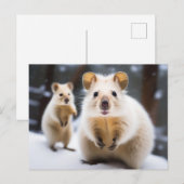 Australische Sneeuw Quokka in Sneeuw Snokka Briefkaart (Voorkant / Achterkant)
