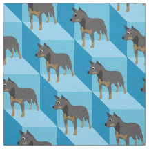 Australische stierenhond op blauwe kubussen