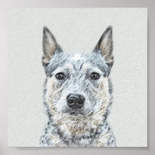 Australische stierenschilderingen - Kute Original  Poster (Voorkant)