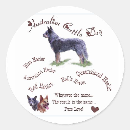 Australische stierenstiften ronde sticker (Voorkant)