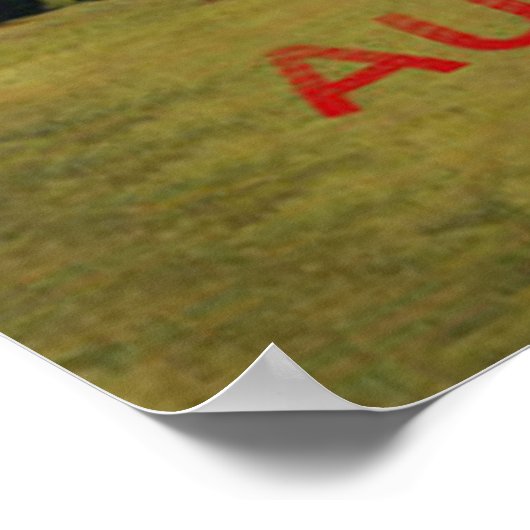 Australische stranden  poster (Hoek)