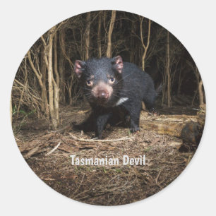 Australische Tasmaanse duivel Ronde Sticker