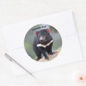 Australische Tasmaanse duivel Ronde Sticker (Envelop)
