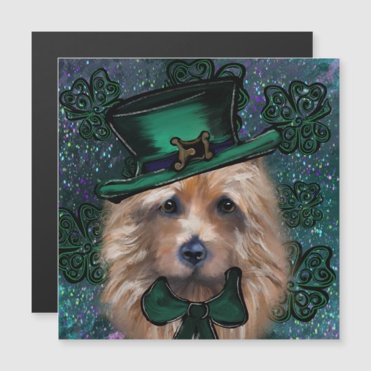 Australische Terrier (Voorkant / Achterkant)