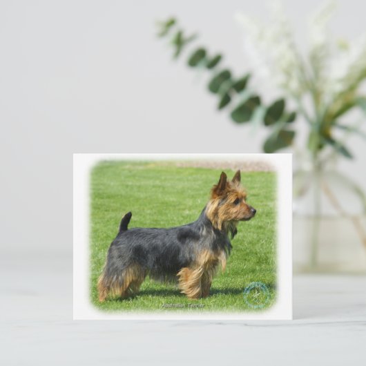 Australische Terrier 9R044D-62 Briefkaart (Staand voorkant)