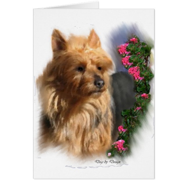 Australische Terrier Art Gifts (Voorkant)