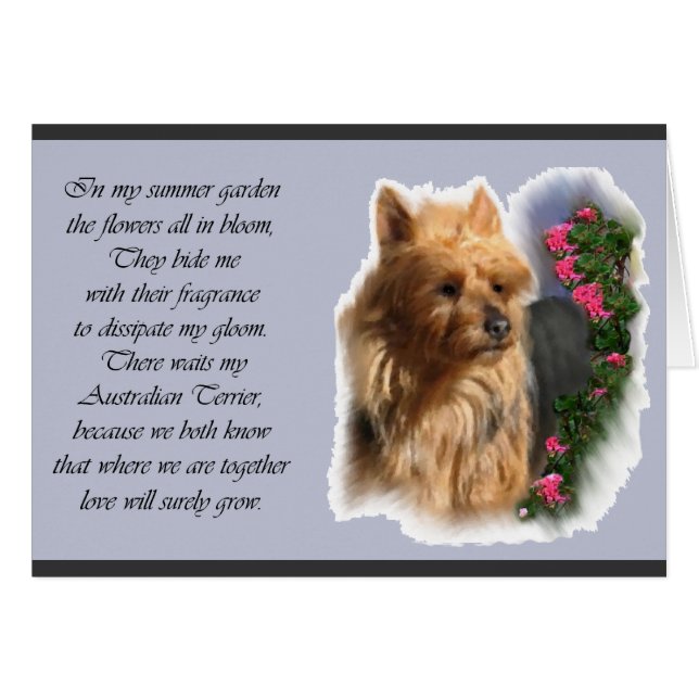 Australische Terrier Art Gifts (Voorkant Horizontaal)