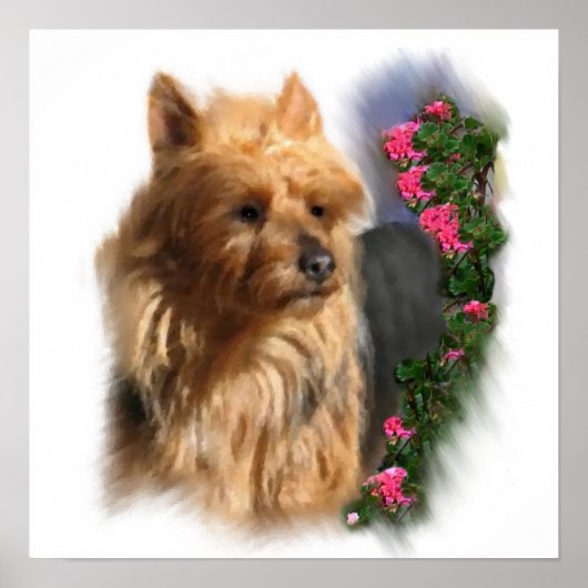 Australische Terrier Art Gifts Poster (Voorkant)