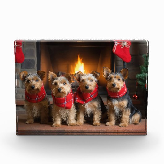 Australische Terrier bij de Haard Kerstmis Fotoblokken (Voorkant)